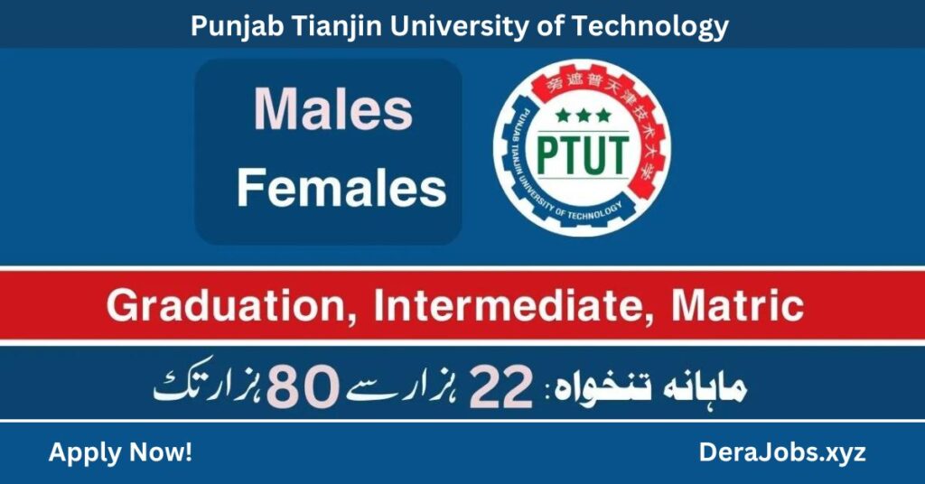 Punjab Tianjin University of Technology Jobs 2023