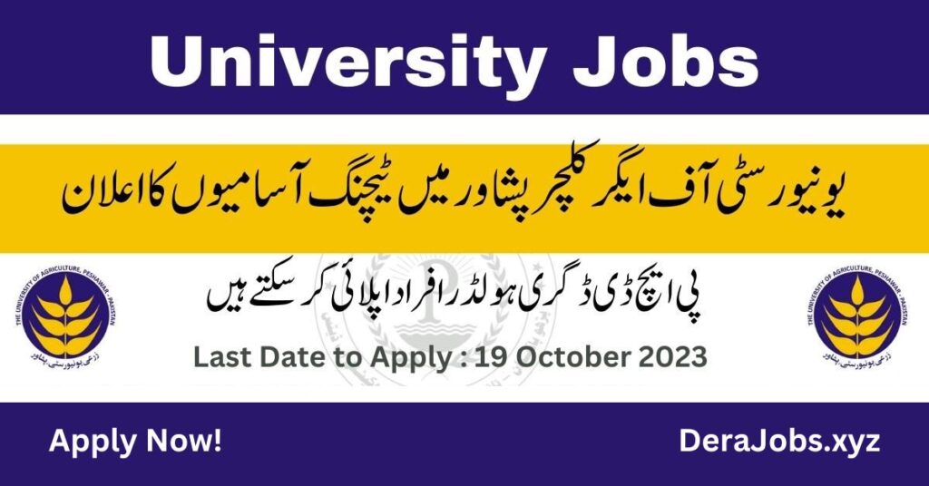 University of Agriculture Peshawar Jobs 2023